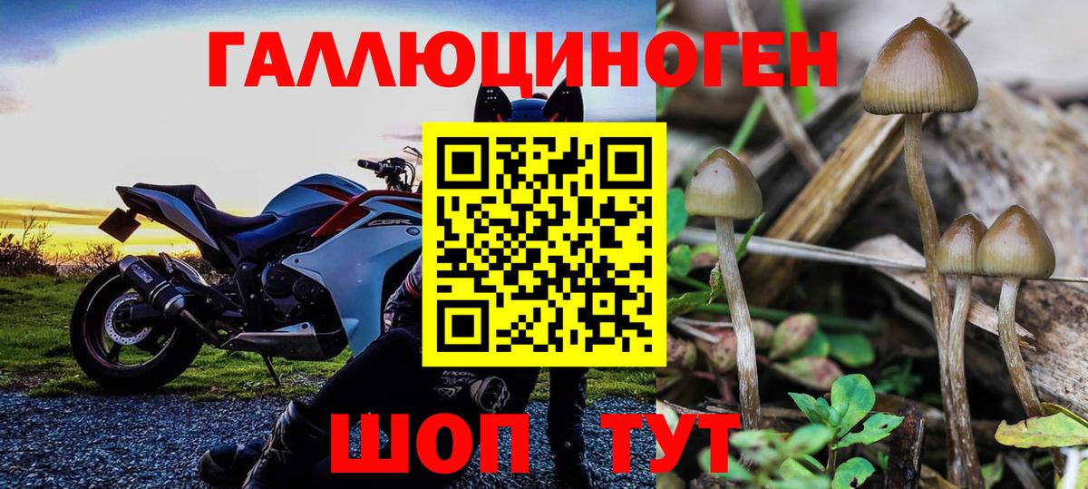 Галлюциногенные грибы GOLDEN TEACHER Богданович